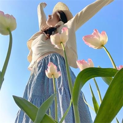 闻香识女人 海报